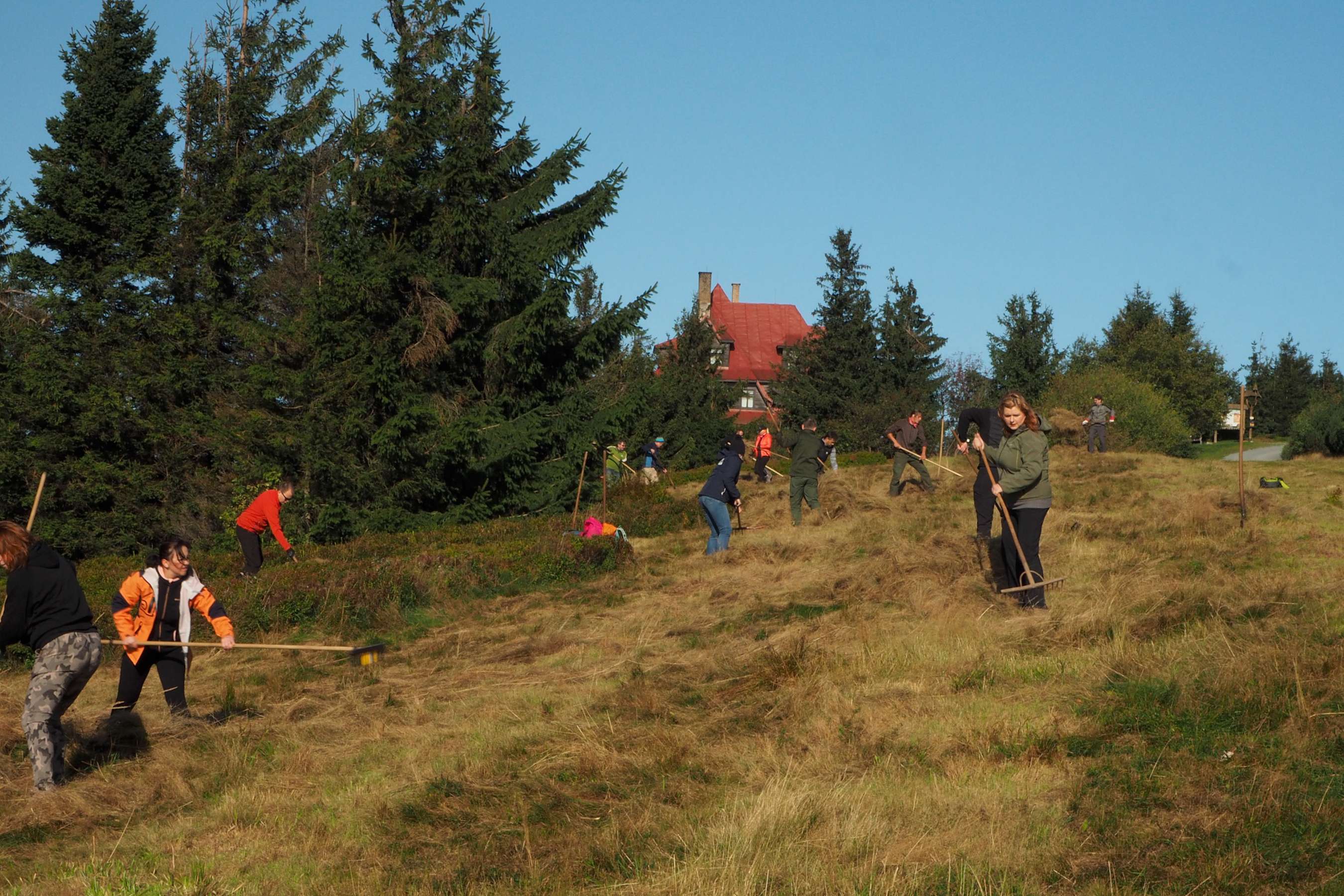 Obrázek v galerii