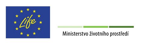 Sponzor